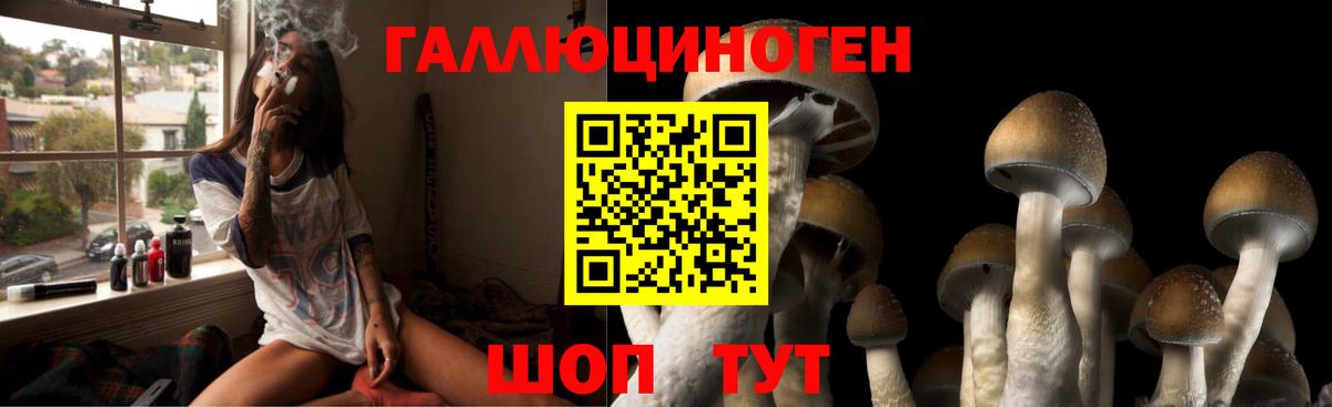 Псилоцибиновые грибы ЛСД Дзержинский